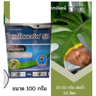 ไดเมโทมอร์ฟ ขนาด 100กรัม