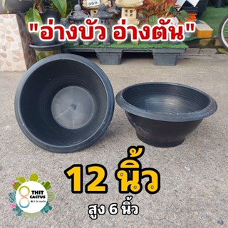 อ่างบัว อ่างตัน 12 นิ้ว (เล็ก) // กด 12 ชิ้น 270฿ -- กระถางปลูกบัว กระถางบัว กระถางพลาสติก กระถางเกษตร