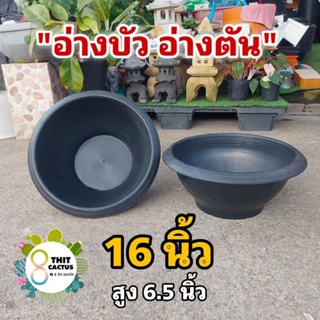 อ่างบัว อ่างตัน 16 นิ้ว ( กลาง ) // กด 12 ชิ้น 320฿ -- กระถางปลูกบัว กระถางบัว กระถางพลาสติก กระถางเกษตร