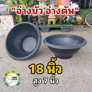 อ่างบัว อ่างตัน 18 นิ้ว (ใหญ่) // กด 12 ชิ้น 360฿ -- กระถางปลูกบัว กระถางบัว กระถางพลาสติก กระถางเกษตร