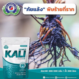 ฮิวมัส คาลี *ลอตใหม่ม๊าก 2569 ฟื้นฟูดินกรด ดินเค็ม เร่งราก ใช้ได้ทุกพืช กระสอบใหญ่ 10 กก. 1 กระสอบ