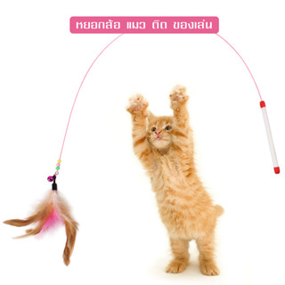 ไม้แหย่แมว   ไม้ตกแมวแบบสปริง cat toy ไม้ล่อแมว   แบบลวดสลิง  ขนนกจากธรรมชาติ