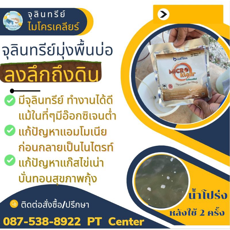 จุลินทรีย์ไมโครเคลียร์สูตรพิเศษ ลดแก๊สไข่เน่าได้ดี กินตะกอน ปรับน้ำโปร่ง (ซองขนาด200กรัม)