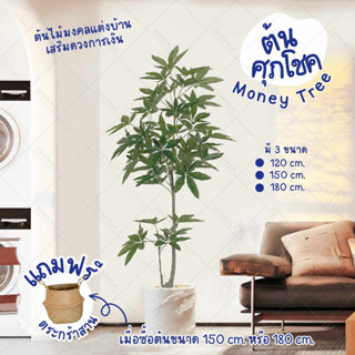 ฟรีตะกร้าสาน🌟 ต้นศุภโชคปลอม 120cm / 150cm / 180cm ต้นไม้ปลอม มงคลนำโชค Money Tree