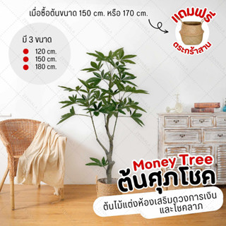 ✨ส่งจากกทม✨ ต้นศุภโชคปลอม 120cm / 150cm / 180cm ต้นไม้ปลอม มงคลนำโชค Pachira aquatica Tree (แถมฟรีตะกร้าสาน)