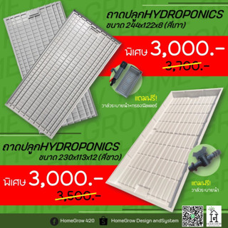 ถาดปลูกต้นไม้ ถาด HYDROPONICS ขนาด244*122 สำหรับโครงปลูก