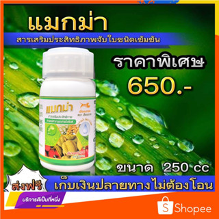 แมกม่า(MAXMA)สารเสริมประสิทธิภาพทางใบสูตรเข้มข้นใช้ได้กับพืชทุกชนิด