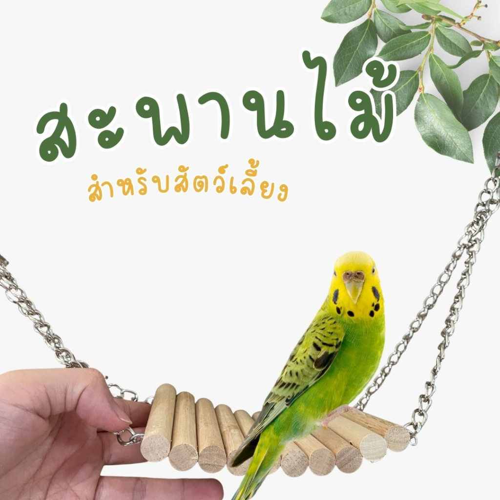 สะพานไม้ บันไดไม้ ของเล่นนก ชิงช้าห้อยกรงนก สะพานแขวน อุปกรณ์ฝึกนก สำหรับนกขนาดเล็ก