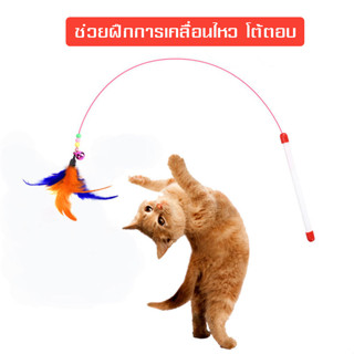 ของเล่นแมว    ไม้ตกแมว    ไม้ตกแมวแบบสลิงยาว   80 cm   ของเล่นแมวหรรษา