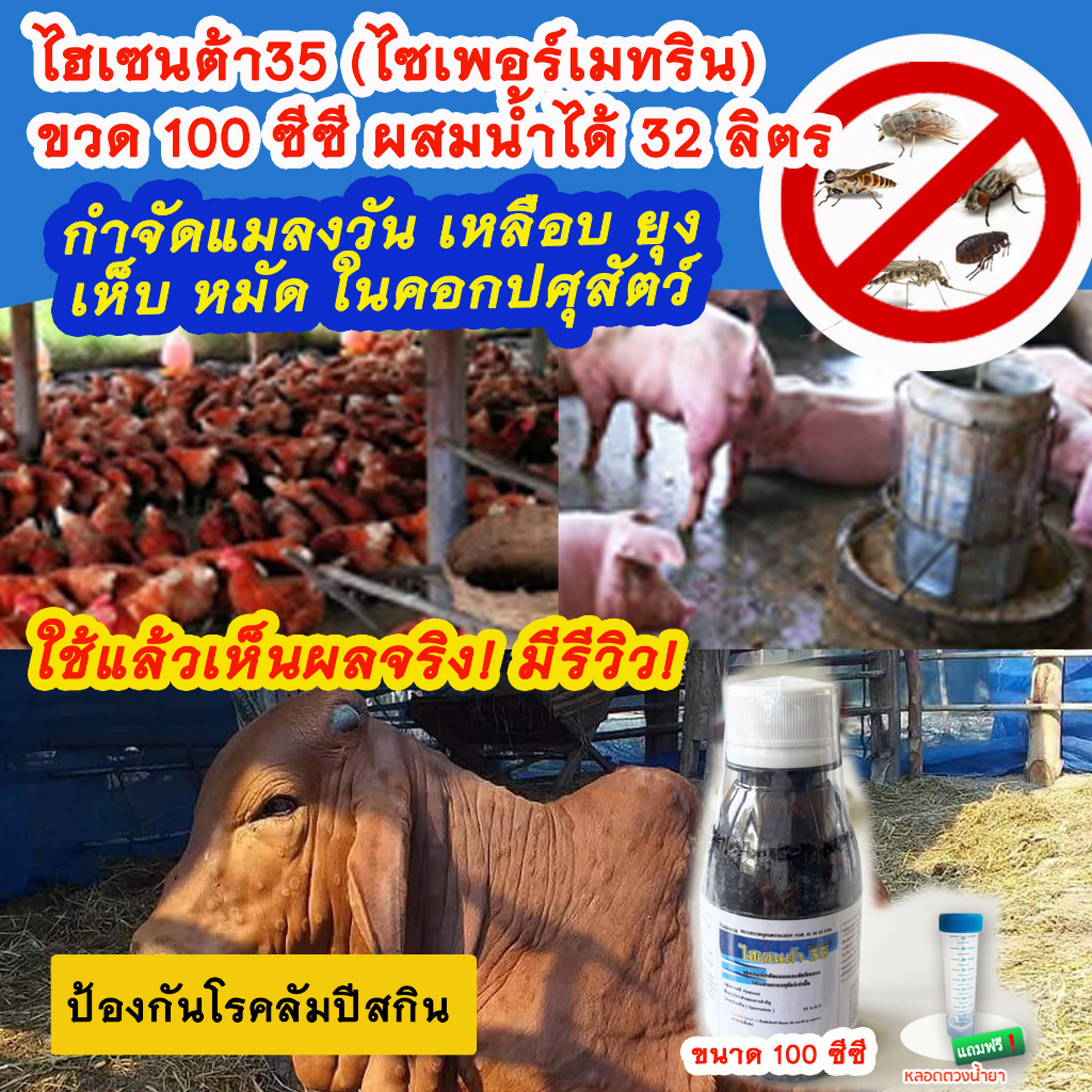 ไฮเซนต้า35 ขนาด 100 มล. [ไซเพอร์เมทริน 35%] กำจัดยุง แมลงวัน แมลงอื่นๆ ในคอกสัตว์