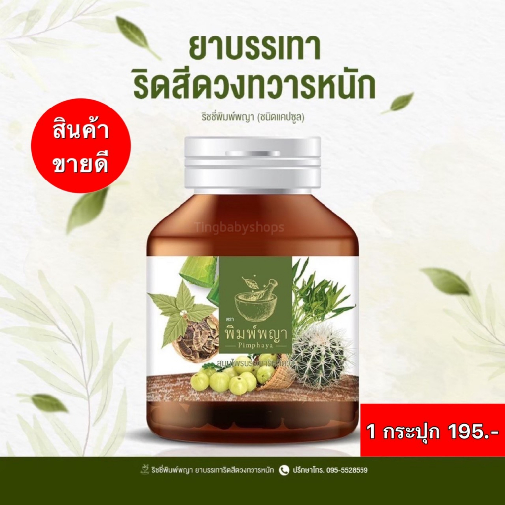 ริชชี่พิมพ์พญา Richy สมุนไพรปราบ ริดสีดวงทวาร รักษาริดสีดวงทวาร แสบ บวม แดง ติ่งยุบไว (1กระปุก)