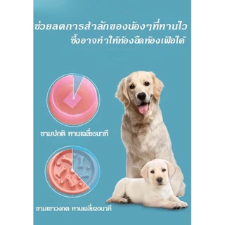 PetStern ชามอาหารสัตว์เลี้ยง ชามอาหารฝึกให้ทานช้าลง