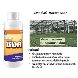 โมสาท ซิงค์ ขนาด 1 ลิตร ธาตุอาหารเสริมพืช ฮอร์โมนพืช (ฟื้นต้นไว ใบเขียวสม่ำเสมอ ลดอาการใบเหลืองใบแก้ว)