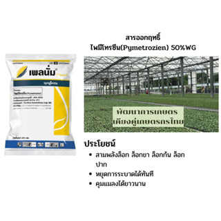 เพลนั่ม สูตรปราบเพลี้ย 3พลัง ล็อค ขนาด 200กรัม กำจัดเพลี้ยกระโดด เพลี้ยจักจั่น