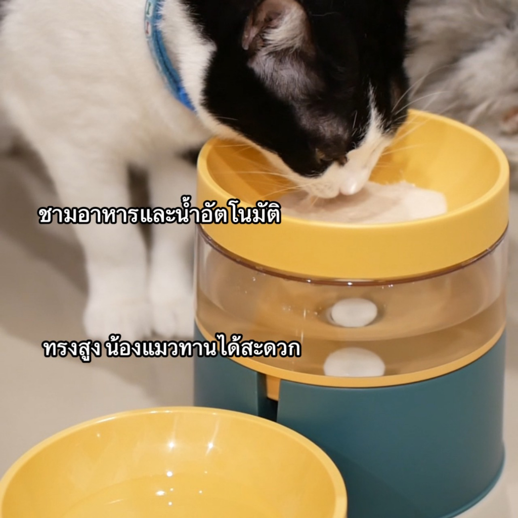 ชามอาหารและน้ำอัตโนมัติ ชามอาหารสัตว์เลียง ชามอาหารแมว