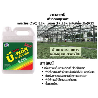 แคลเซียม โบรอน โมลิบดินั่ม เซลล์แข็งแรง ติดผลง่าย เข้าสี เพิ่มรสชาติ โมสาท บีพลัส 5ลิตร