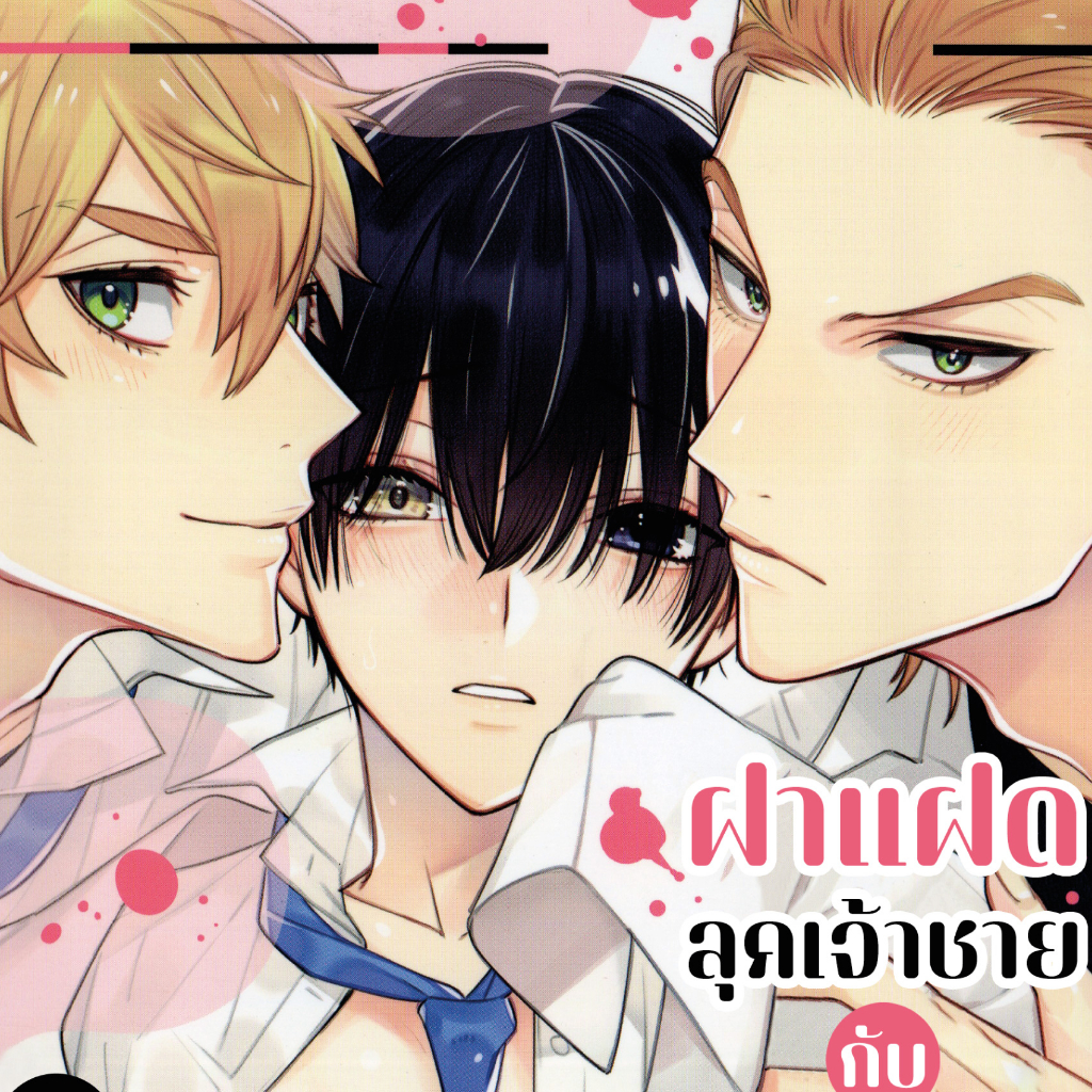 การ์ตูนวาย A ฝาแฝดลุคเจ้าชาย - รูปที่ 3