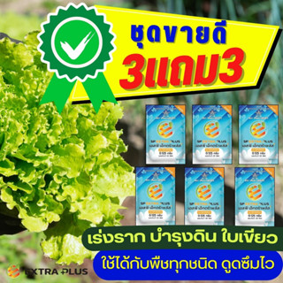 🌿3แถม3 ฮอร์โมนพืช🌿 extra plus - เอ็กตร้า พลัส 4 ซองเล็ก ปุ๋ยอินทรีย์ อาหารเสริมพืช ปุ๋ยฮอร์โมนพืช กรดอะมิโน สารบำรุงพืช