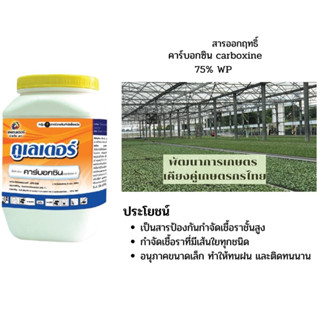 คูเลเตอร์ กำจัดเชื้อรา ราเม็ดผักกาด เน่าคอดิน กล้ายุบ ขนาด 500 กรัม