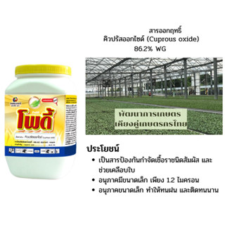 โพดี้ สารตัวเดียวกับนอร์ดอก สารคิวปรัสออกไซด์ ขนาด 1กิโล