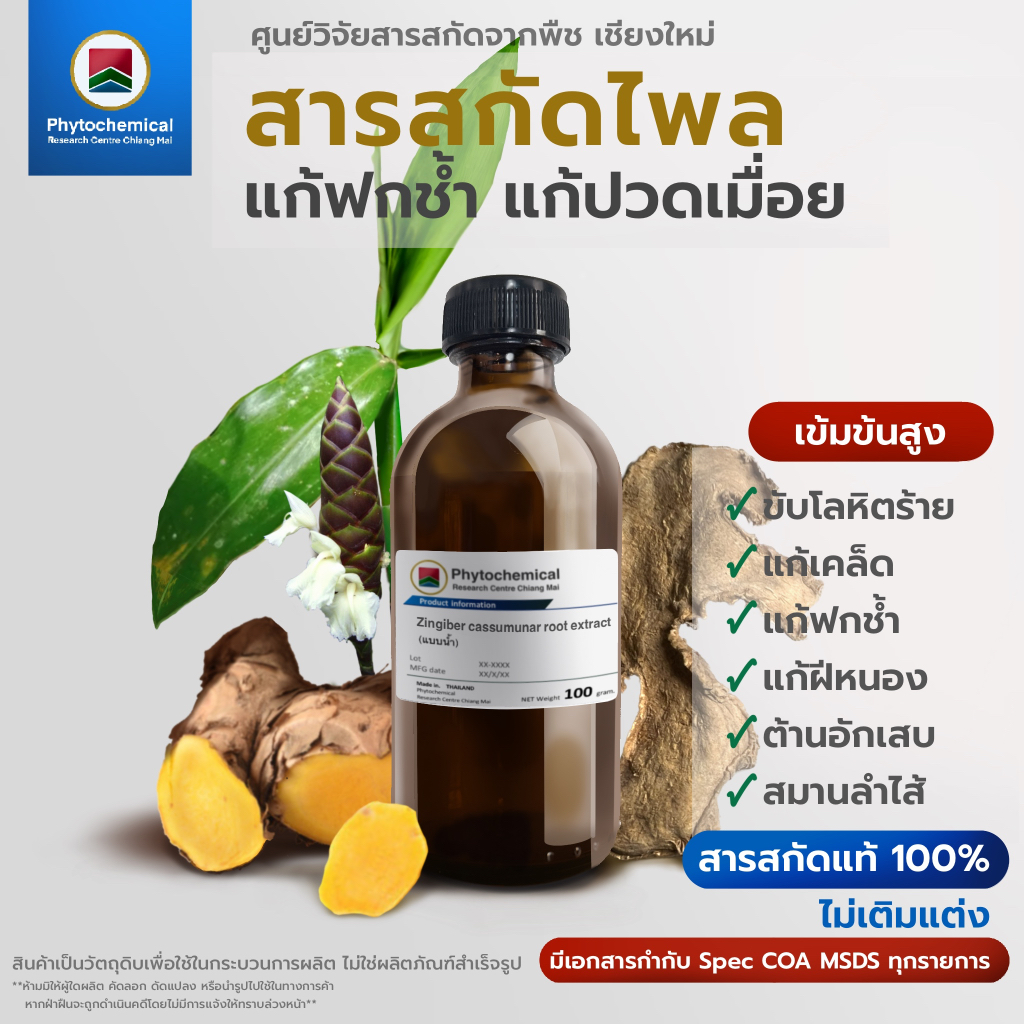 สารสกัดไพล(แบบน้ำ) Phlai extract | สารสกัดจากพืช สารสกัดสมุนไพร 100% | เข้มข้นสูง 25-100 g.