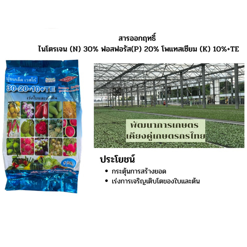 ปุ๋ยเกล็ด เวสโก้ สูตร 30-20-10+Trace Element (ธาตุรอง&เสริม) เร่งการเจริญของลำต้นและใบ ขนาด 1 กิโลกรัม