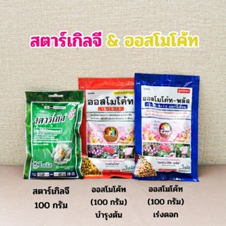 เซ็ตดูแลต้นไม้ สตาร์เกิลจี (100 กรัม)​ + ออสโมโคท 2 สูตร (100 กรัม)​