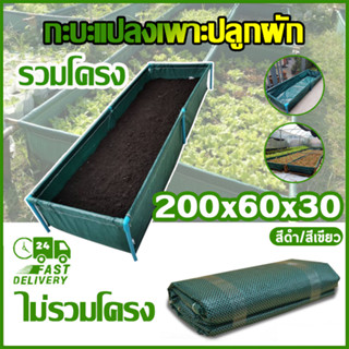 ขนาด​ 60x200x30 cm. ถุงกะบะปลูก กะบะเพาะปลูก  แปลงผักเพาะปลูก  กระบะปลูกผัก กะบะปลูกผัก แปลงปลูกผัก ถุงปลูกต้นไม้