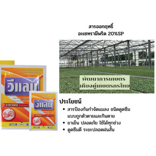 สารป้องกันกำจัดแมลงวีแลน (อะซิทามิพริค 20% W/W SP) ขนาด 100 กรัม