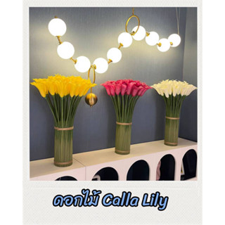 CT182E027 DECHOME ดอกไม้ Calla Lily ดอกไม้ปลอม ดอกไม้ตกแต่งโต๊ะ ดอกไม้ตกแต่งบ้าน