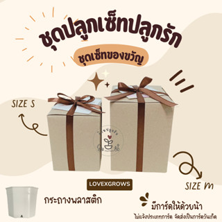 LXG : ชุดปลูกดอกไม้เซ็ทปลูกรัก (เซ็ทของขวัญ) กระถางพลาสติก ชุดปลูกดอกไม้ ของขวัญ ของชำร่วย มี 2 ขนาด