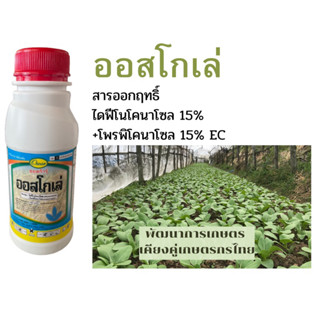 ออสโกเร่ (ไดฟีโนโคนาโซล + โพรพิโคนาโซล 15% + 15% W/V EC) 500 ซีซีสารเดียวกับ อามูเร่