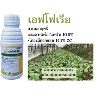 เอฟโฟเรีย สารไทอะมีท็อกแซม+แลมบ์ดา ขนาด500ซีซี