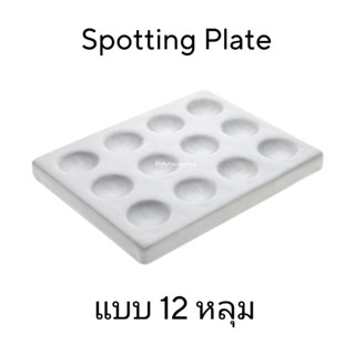 Spotting Plate แบบ 12 หลุม