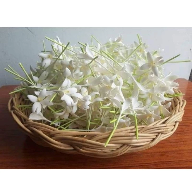 ดอกปีบ ดอกกาสะลอง ดอกไม้เสียบผม เซ็ตละ 60 บาท (1เซ็ตมี 10ดอก)