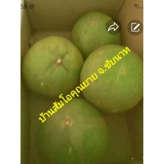 ส้มโอขาวแตงกวา จ.ชัยนาท @จัดโปรโมชั่น #4ลูก459฿ จำนวนจำกัด!.…