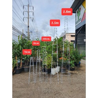 ซุ้ม T-Rose ทรีโรส 70cm , 90cm , 100cm ซุ้มกุหลาบ