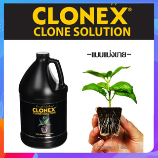 (แบบน้ำ) Clonex Clone Solution ของแท้ ปุ๋ยเร่งราก น้ำยาเร่งราก ใช้ร่วมกับเจลเพื่อเพิ่มประสิทธิภาพการเจริญเติบโต