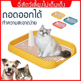 ห้องน้ำสุนัข ถาดรองฉี่สุนัข แผ่นรองฉี่สุนัข นำการสนับสนุน dog toilet