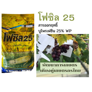 บูโพรเฟซิน 25% ชนิดผง ขนาด 1000 กรัม เป็นสารยับยั้งการลอกคราบของแมลง ควบคุมการฟักไข่ ลดการวางไข่ ขนาด1 กิโล