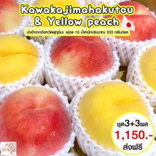 ใส่โค้ด "5QTLS"  รับส่วนลด 40.- ลูกพีชรวม ลูกพีชญี่ปุ่น Yellow peach + Kawanakajimahakutou peach size 15 ชุด 6 ผล