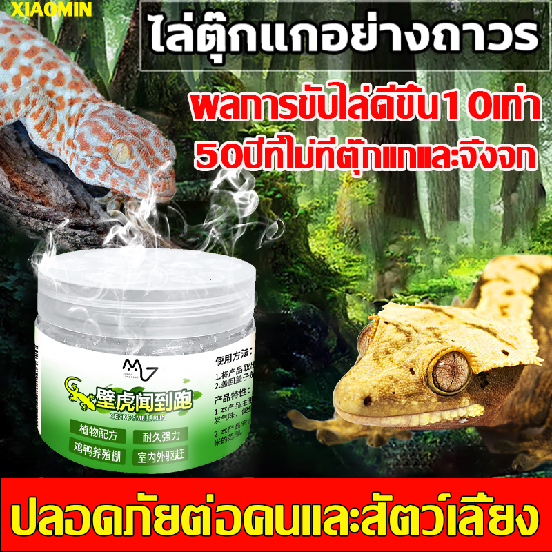 รับประกัน 10 ปี ล่จิ้งจก ยากำจัดจิ้งจก ยาไล่ตุ๊กแก สมุนไพร ผลิตจากธรรมชาติ ไม่มีสารเคมี เจลไล่ตุ๊กแก 120g
