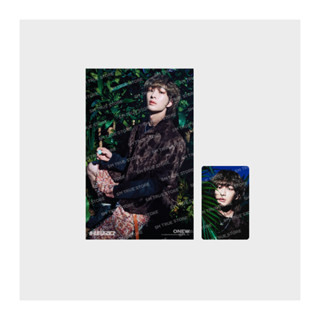 [PRE-ORDER] SHINee HARD - The 8th Album MD - 4X6 PHOTO SET