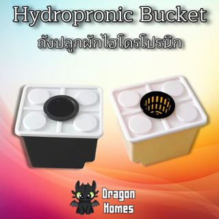 Hydropronics Bucket Grow Plant ถังปลูกต้นไม้ ไฮโดรโปรนิก กระถางปลูกไฮโดร กระถางปลูกต้นไม้