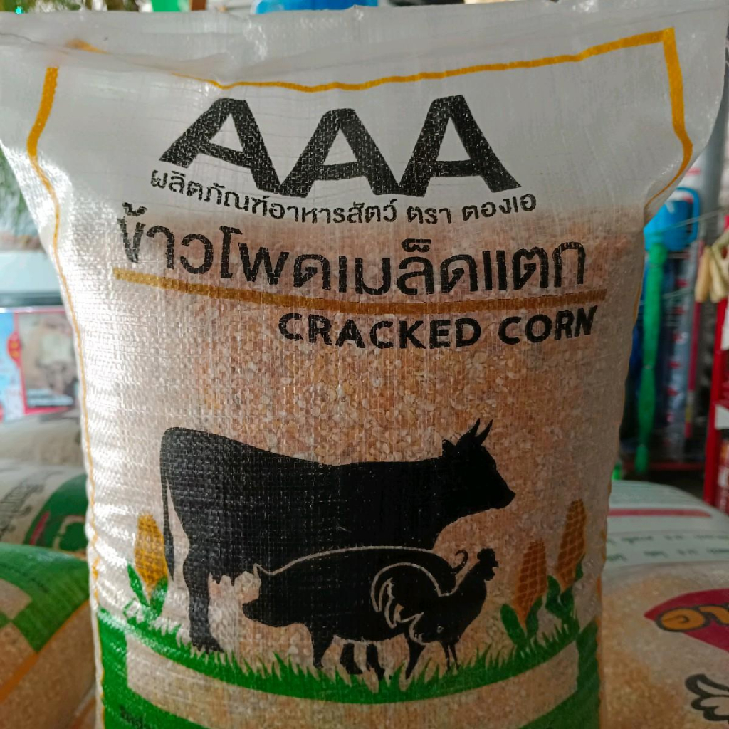 1. #ข้าวโพดบด
2. #เม็ดข้าวโพดแตก
3. #ข้าวโพดบด10กก
4. #ข้าวโพดบดขนาดใหญ่
5. #อาหารสัตว์ราคาถูก