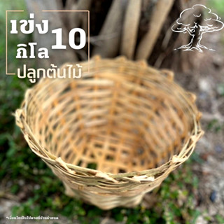 เข่ง10กิโล เข่งปลูกต้นไม้ ขนาด 30*23*16 ซ.ม. (1ใบ)