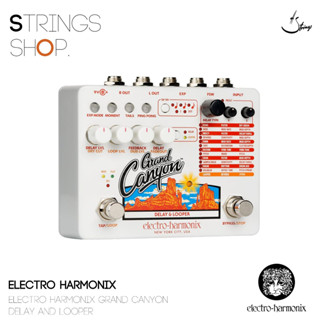 เอฟเฟคกีตาร์ Electro Harmonix Grand Canyon Delay and Looper