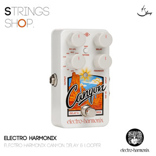 เอฟเฟคกีตาร์ Electro Harmonix Canyon delay &amp; looper