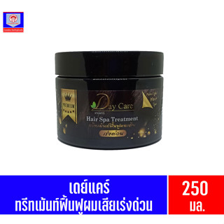 เดย์แคร์ ทรีทเม้นท์ แฮร์ สปา ทรีทเม้นท์ ฟื้นฟูผมเสีย เร่งด่วน 250มล.