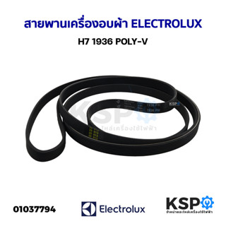 สายพานเครื่องอบผ้า ELECTROLUX อิเล็กทรอลักซ์ H7 1936 POLY-V อะไหล่เครื่องอบผ้า